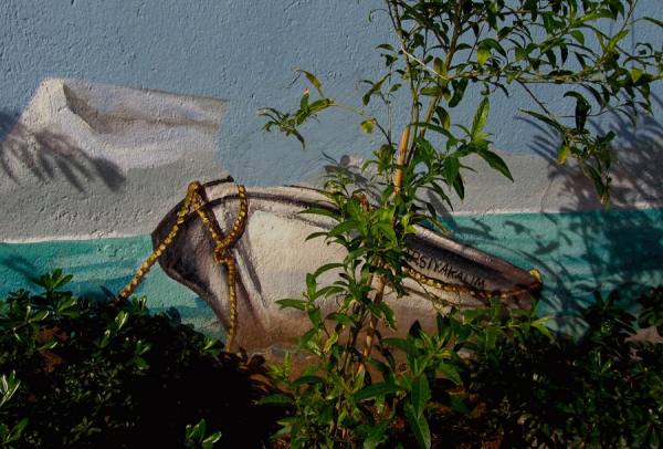 Photograph Celal Erdem  Cockboat on One Eyeland